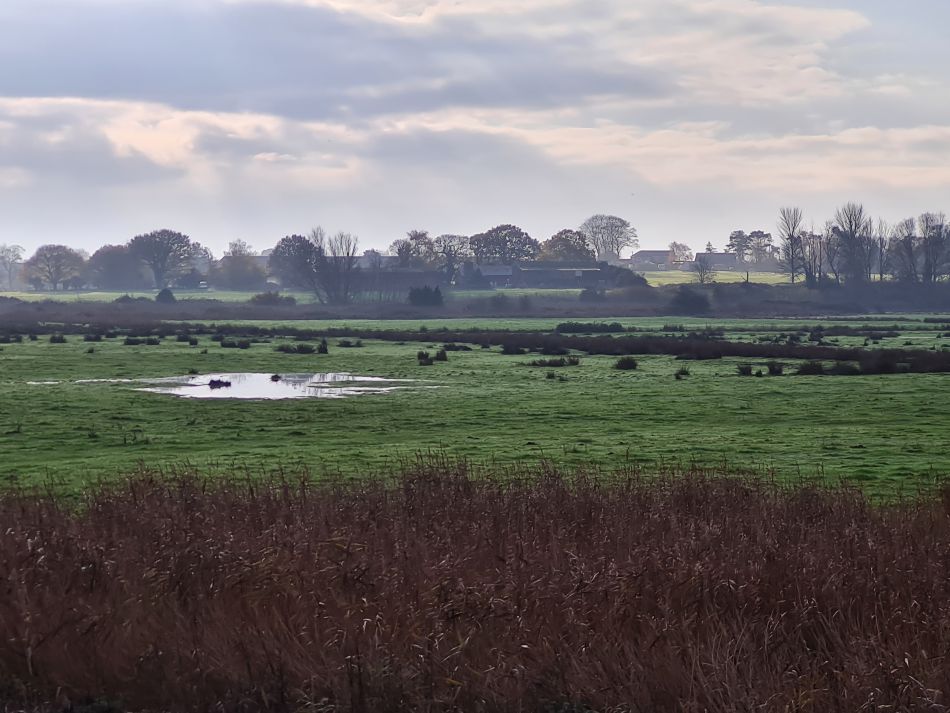 2022-12-01 10 Angles Way 28 - Breydon Water.jpg
