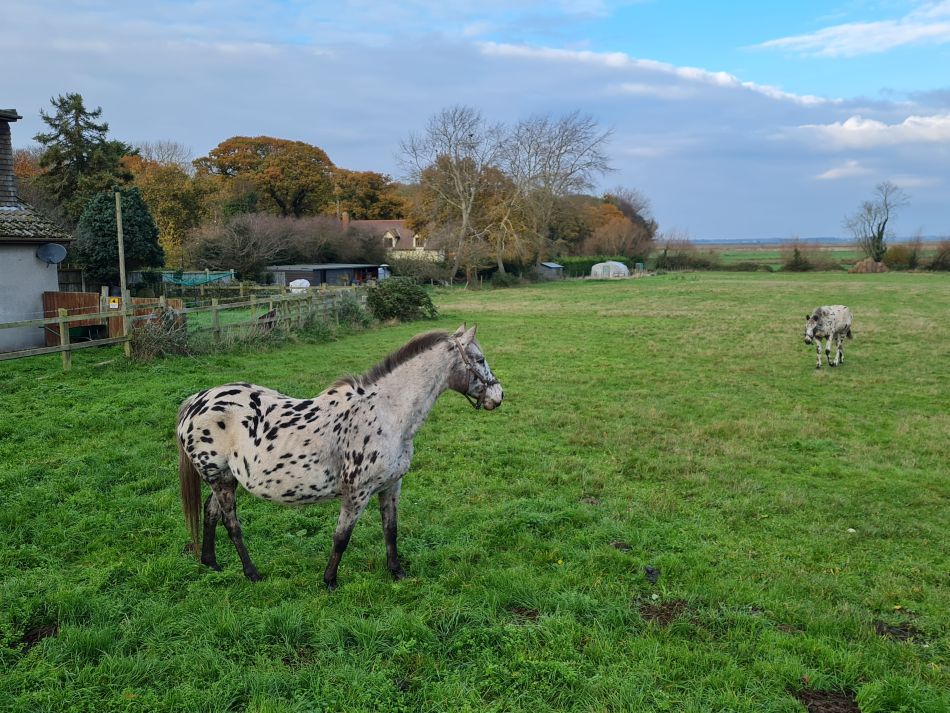 2022-12-01 27 Angles Way 28 - Breydon Water.jpg