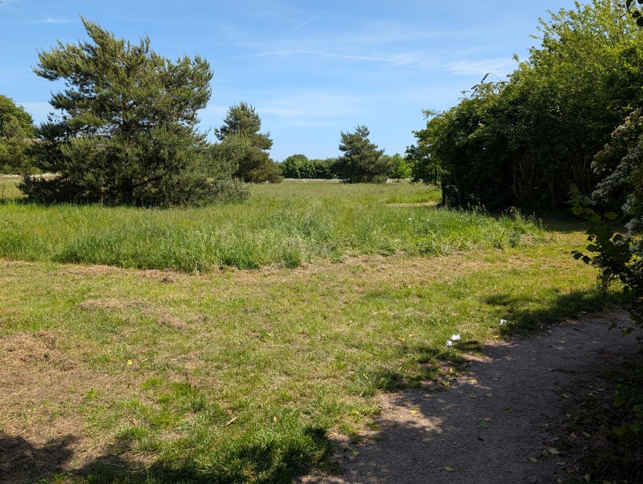 2026-05-22 13 Burgh Castle.jpg