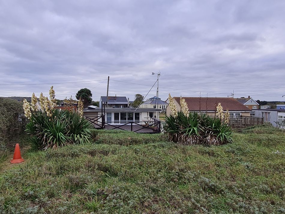 2022-11-11 04 Dersingham and Snettisham.jpg