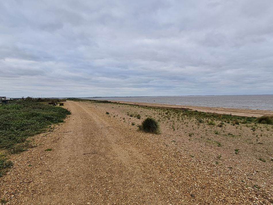 2022-11-11 05 Dersingham and Snettisham.jpg