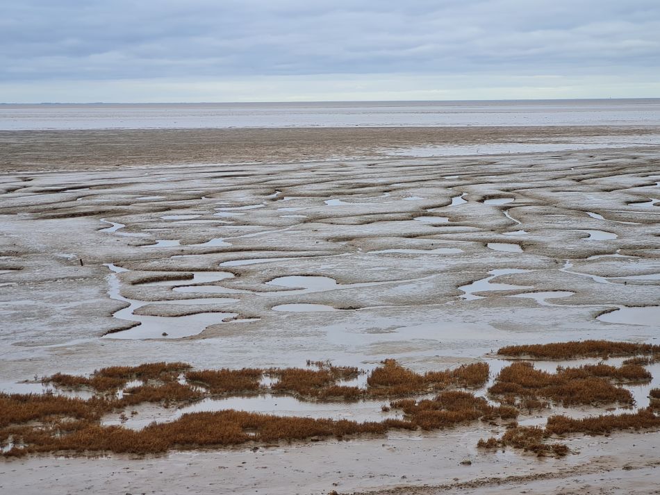 2022-11-11 10 Dersingham and Snettisham.jpg