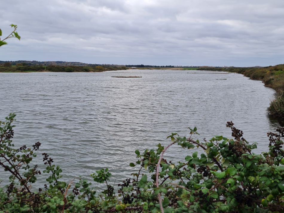 2022-11-11 12 Dersingham and Snettisham.jpg