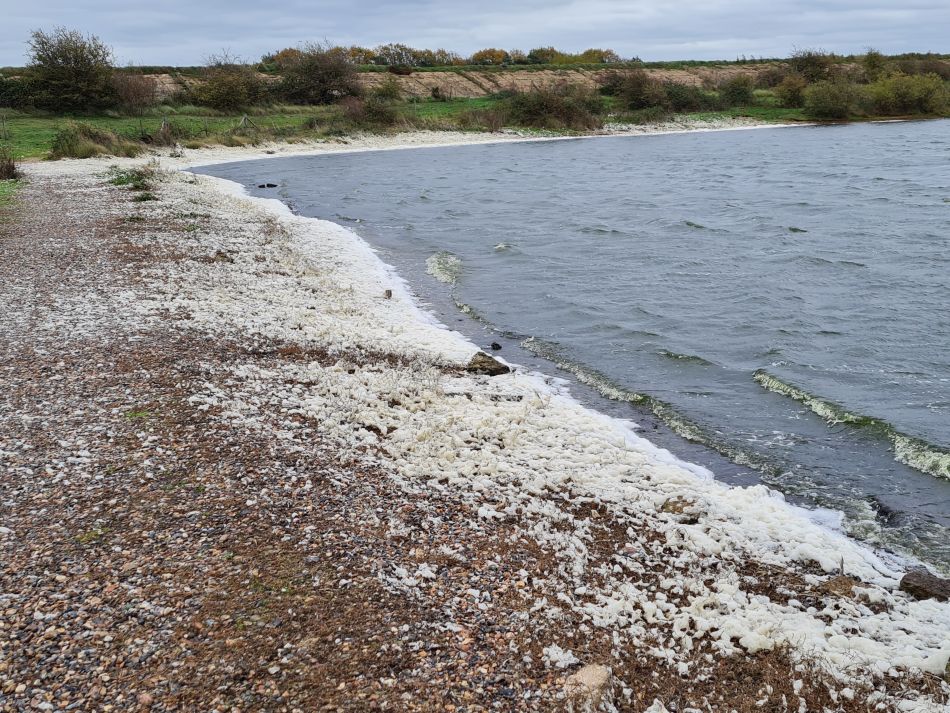 2022-11-11 15 Dersingham and Snettisham.jpg