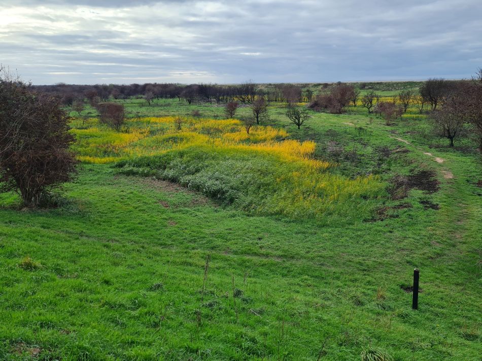 2022-11-11 27 Dersingham and Snettisham.jpg