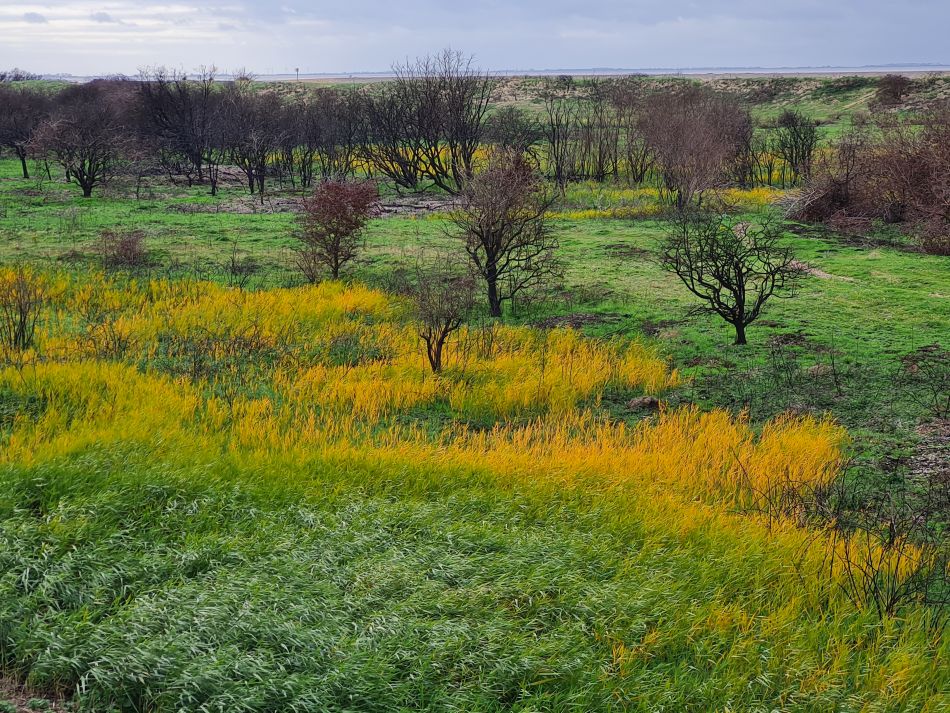 2022-11-11 28 Dersingham and Snettisham.jpg