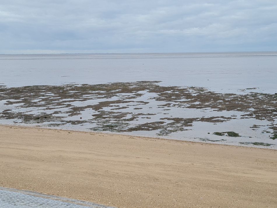 2022-11-11 31 Dersingham and Snettisham.jpg