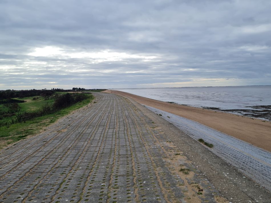 2022-11-11 32 Dersingham and Snettisham.jpg