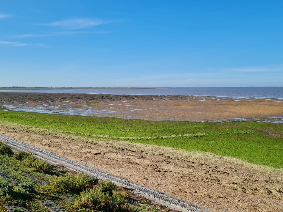 2023-09-22 07 Dersingham and Snettisham.jpg