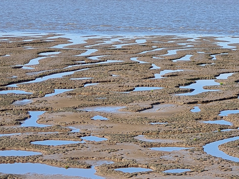 2023-09-22 09 Dersingham and Snettisham.jpg