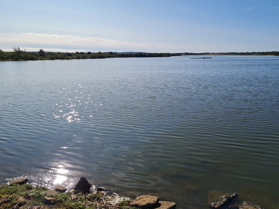 2023-09-22 11 Dersingham and Snettisham.jpg