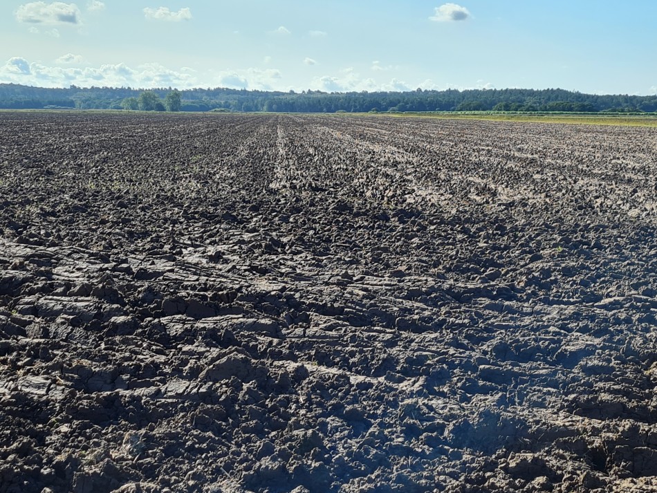 2023-09-22 14 Dersingham and Snettisham.jpg