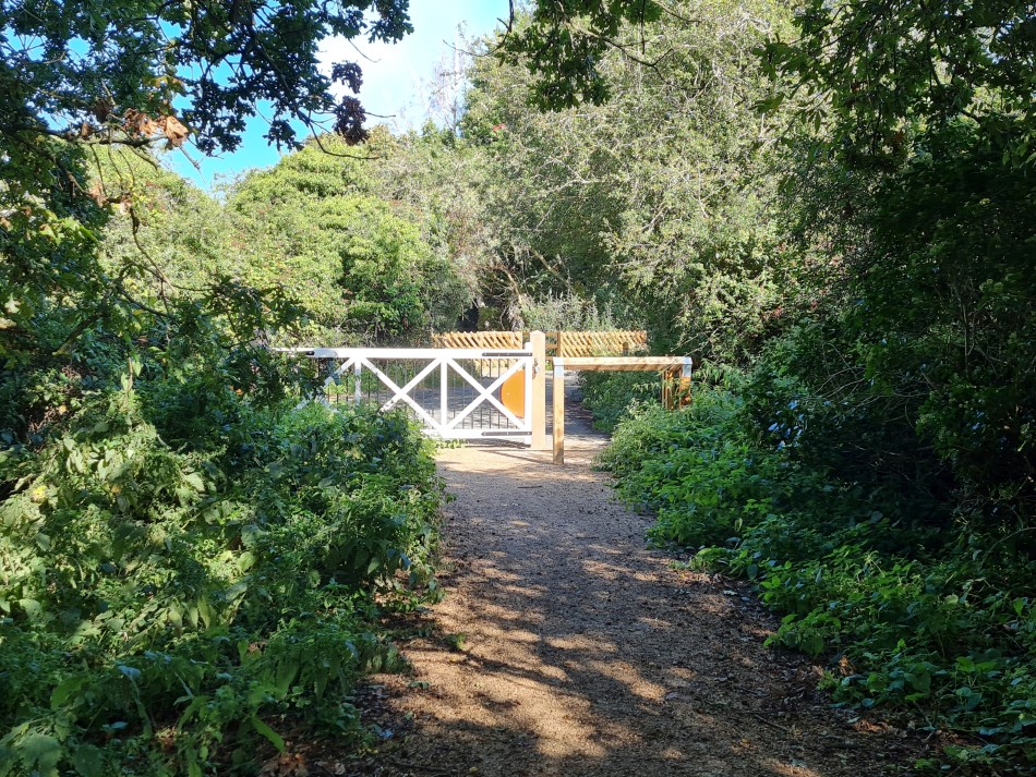 2023-09-22 19 Dersingham and Snettisham.jpg