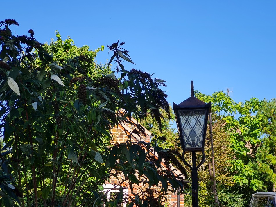 2023-09-22 22 Dersingham and Snettisham.jpg