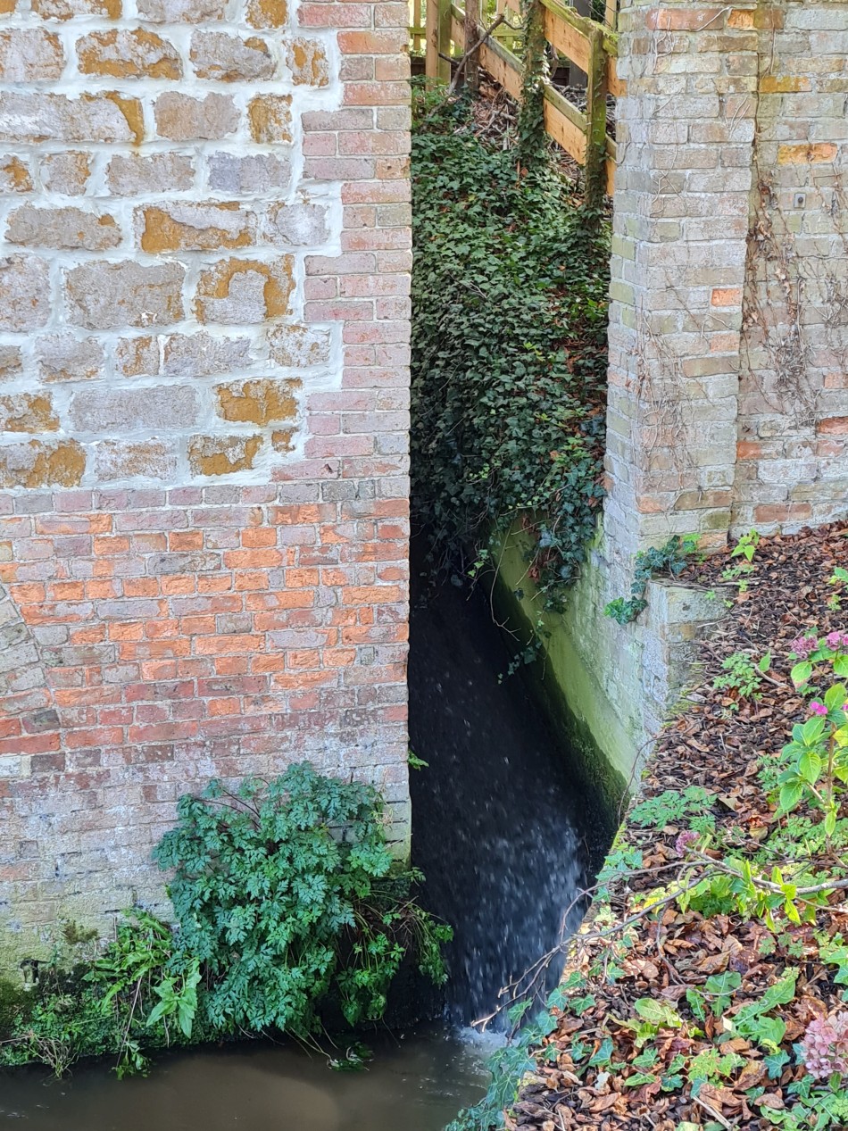 2023-09-22 25 Dersingham and Snettisham.jpg