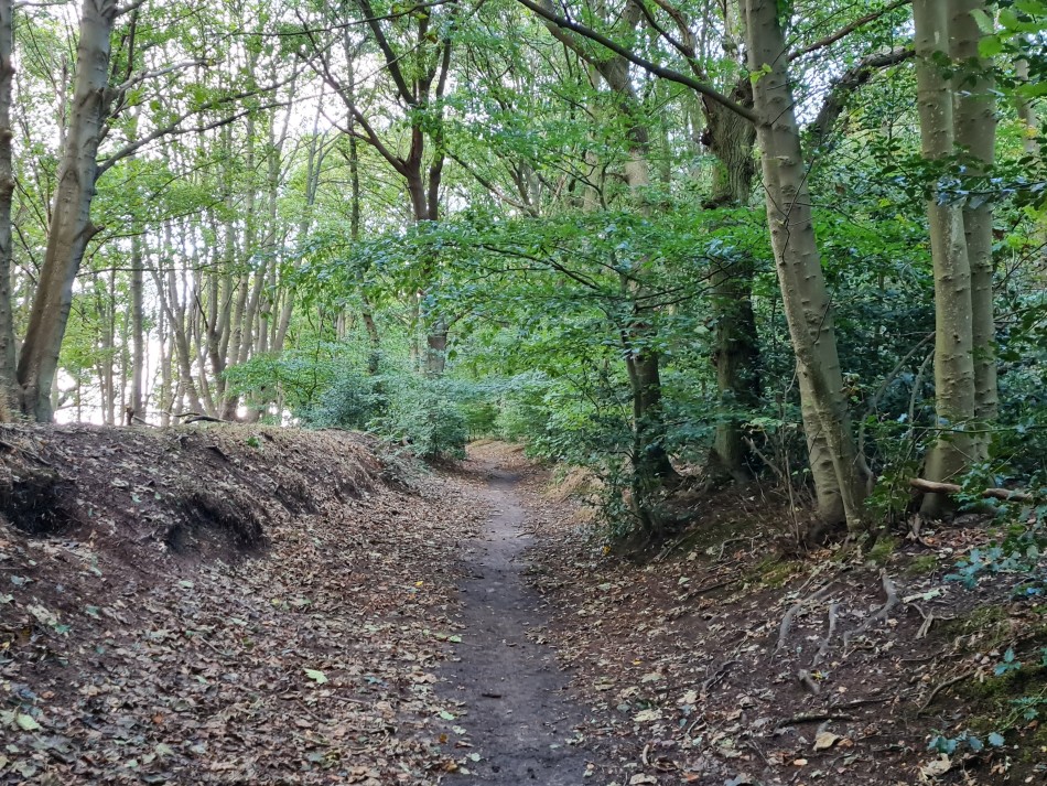 2023-09-22 33 Dersingham and Snettisham.jpg