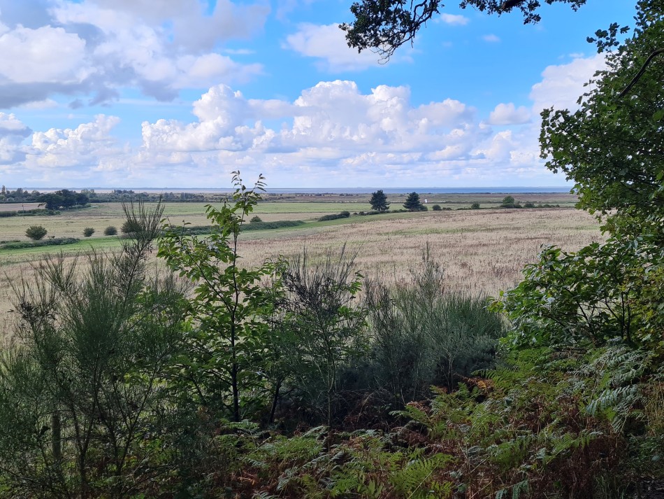 2023-09-22 34 Dersingham and Snettisham.jpg