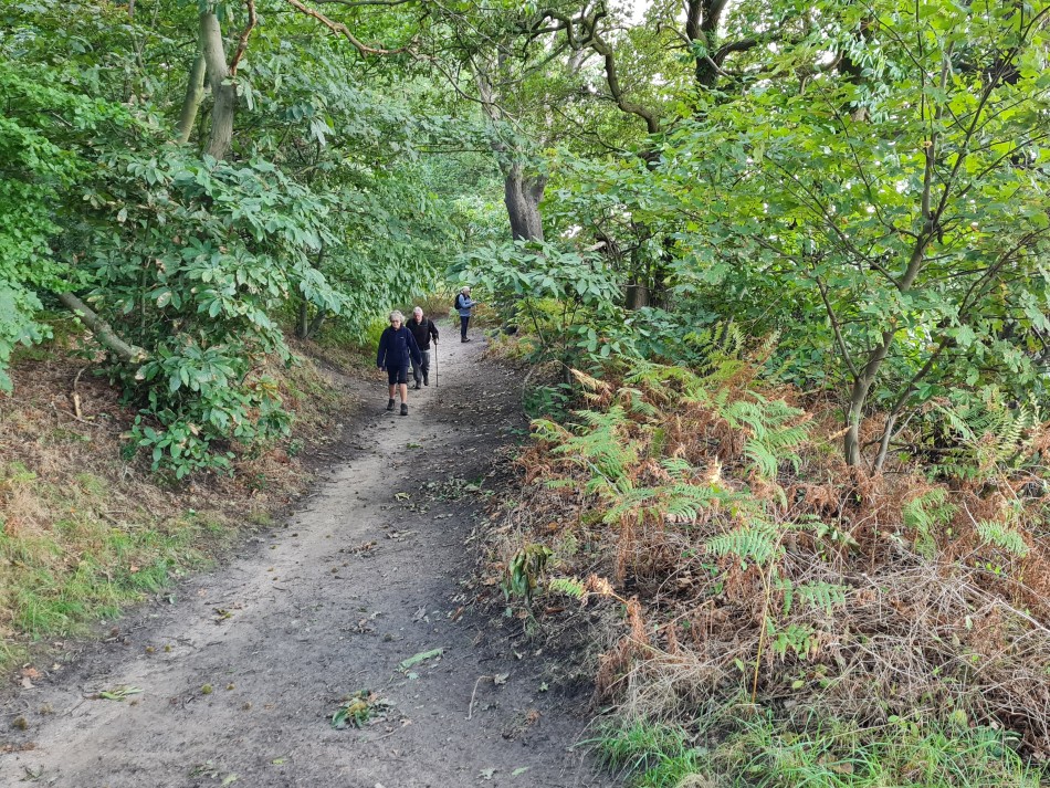 2023-09-22 35 Dersingham and Snettisham.jpg