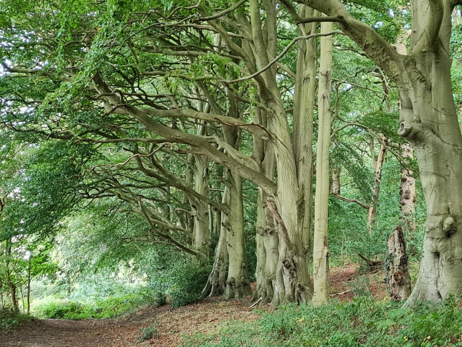 2023-09-22 36 Dersingham and Snettisham.jpg