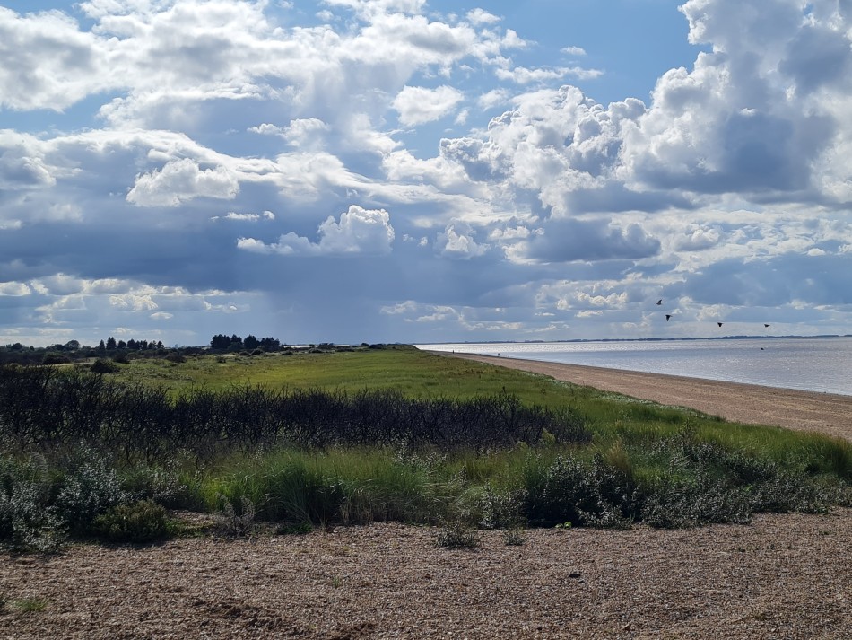 2023-09-22 38 Dersingham and Snettisham.jpg