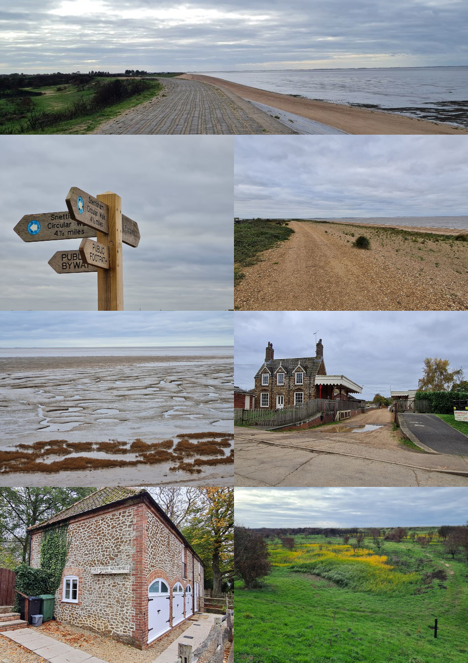 2023-09-22 98 Image.jpg