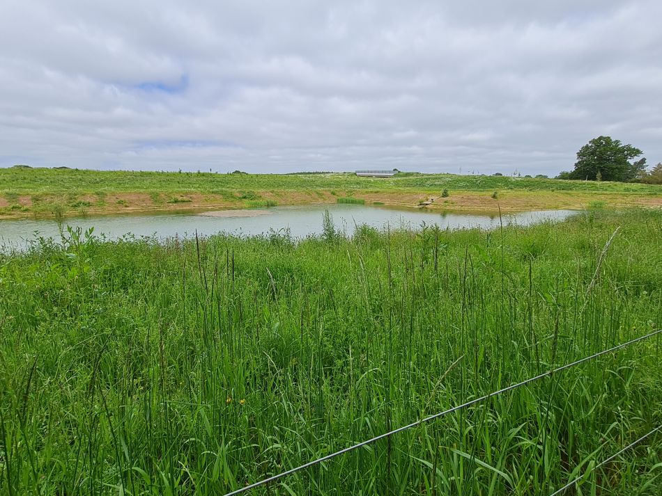2023-06-08 11 Wensum at Great Plumstead.jpg
