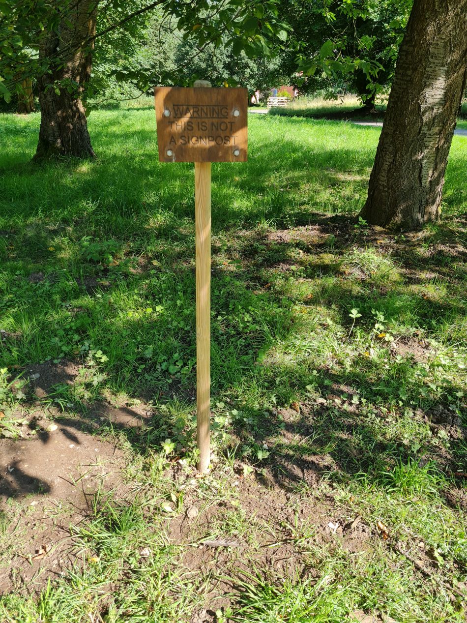 2023-08-08 01 Thorpe Forest.jpg