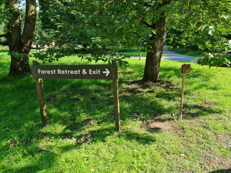 2023-08-08 02 Thorpe Forest.jpg