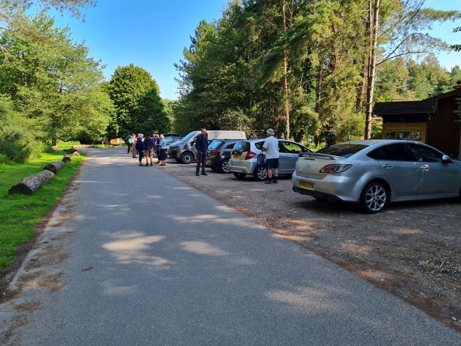 2023-08-08 03 Thorpe Forest.jpg