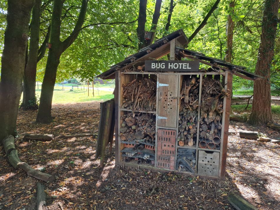 2023-08-08 04 Thorpe Forest.jpg