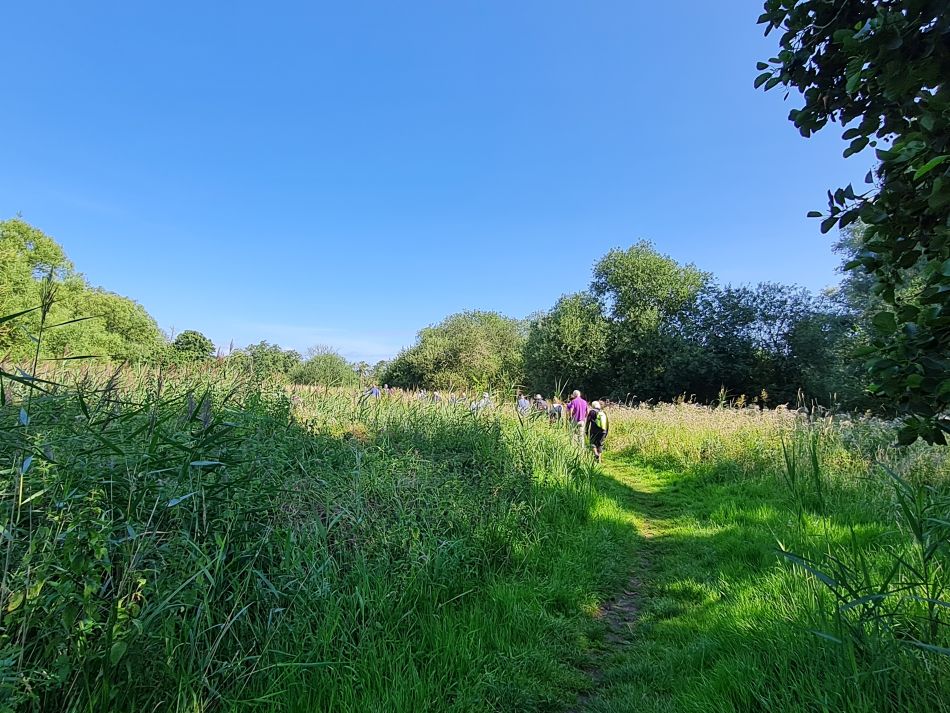 2023-08-08 08 Thorpe Forest.jpg