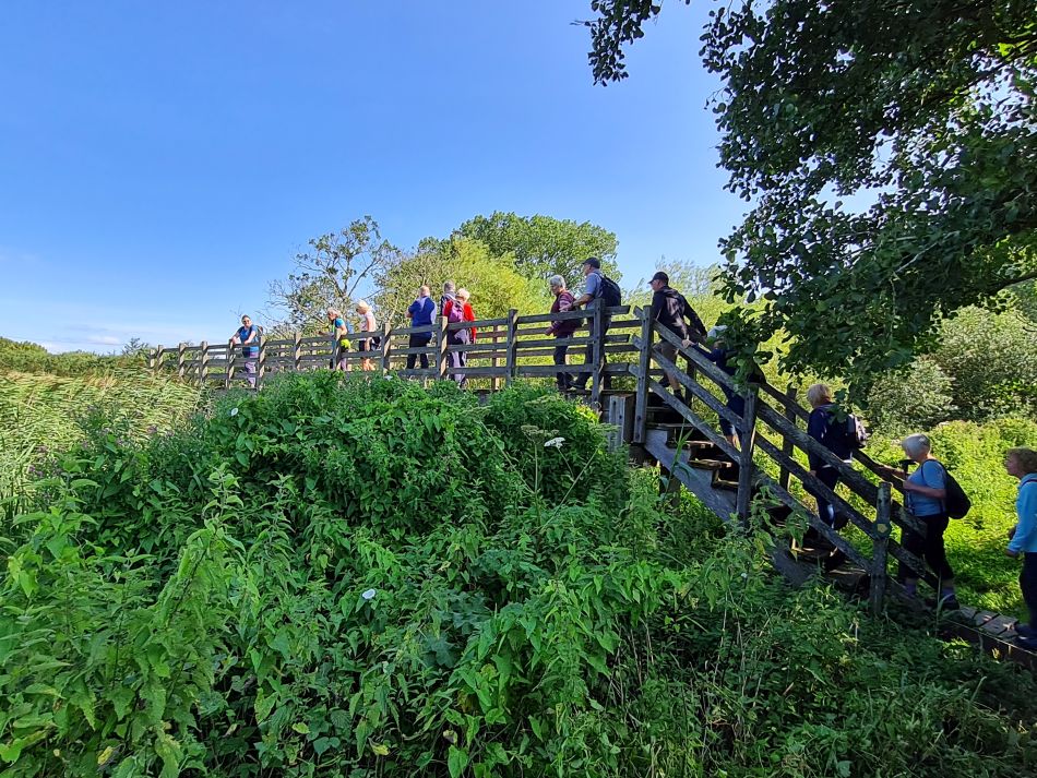 2023-08-08 12 Thorpe Forest.jpg
