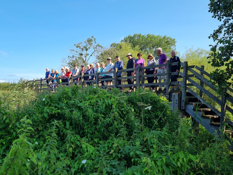 2023-08-08 14 Thorpe Forest.jpg