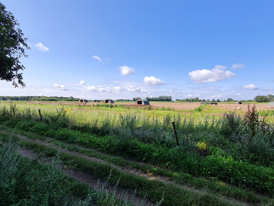 2023-08-08 18 Thorpe Forest.jpg