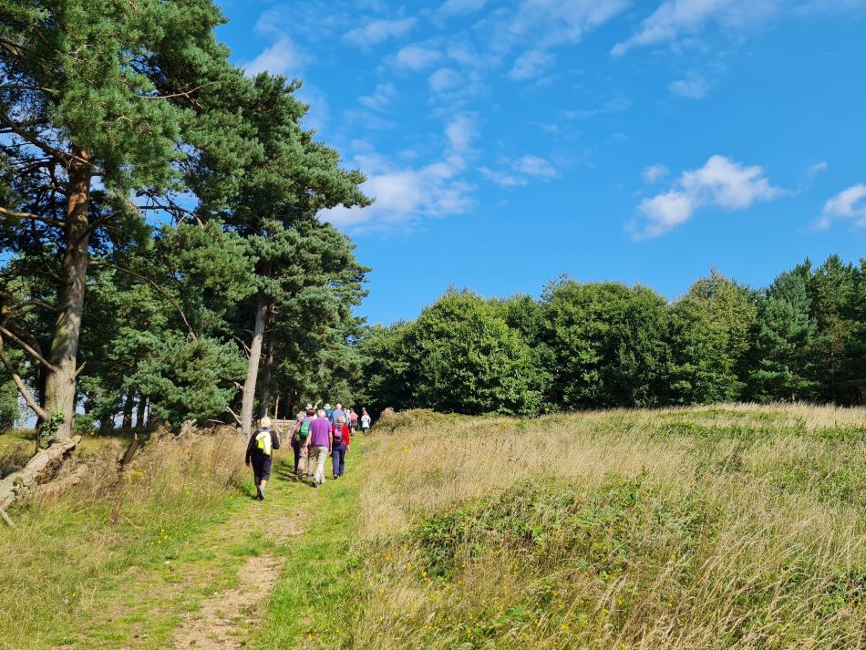 2023-08-08 19 Thorpe Forest.jpg