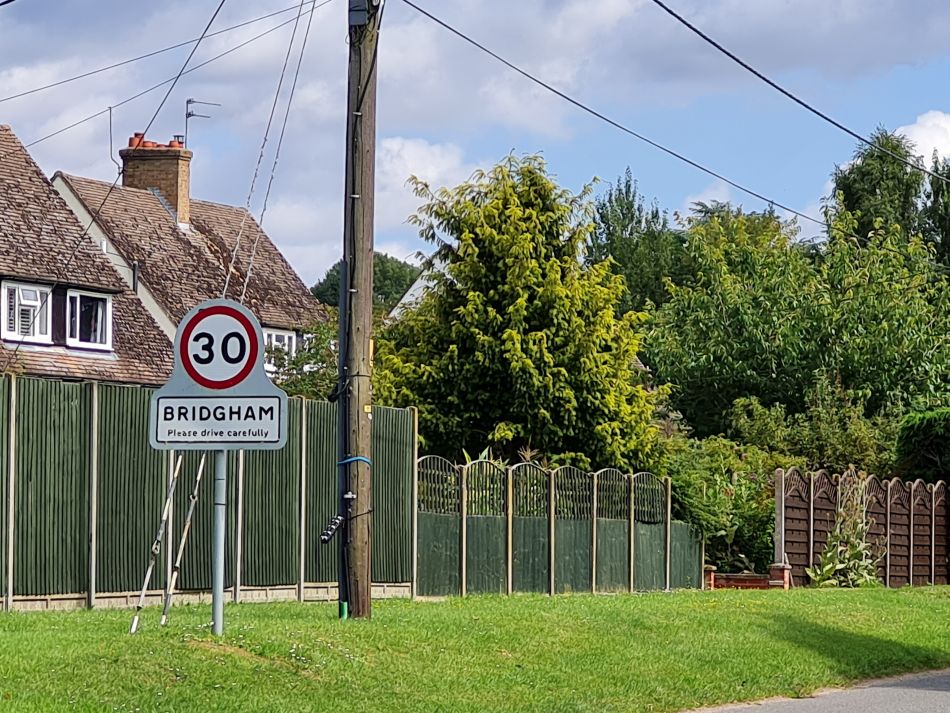2023-08-08 21 Thorpe Forest.jpg
