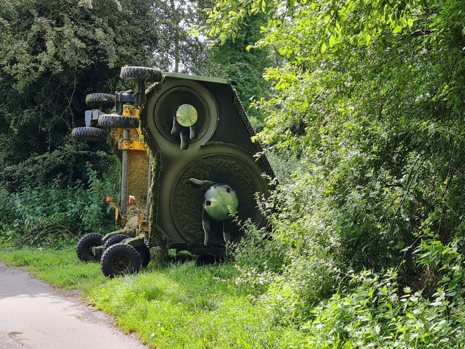 2023-08-08 22 Thorpe Forest.jpg