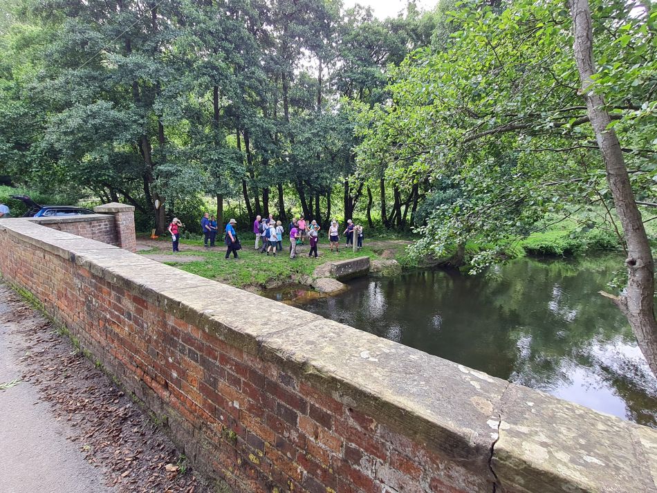 2023-08-08 23 Thorpe Forest.jpg