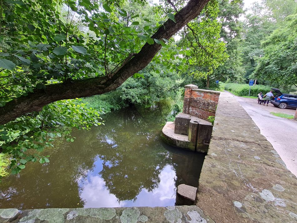 2023-08-08 24 Thorpe Forest.jpg