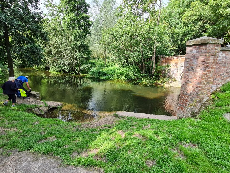 2023-08-08 25 Thorpe Forest.jpg