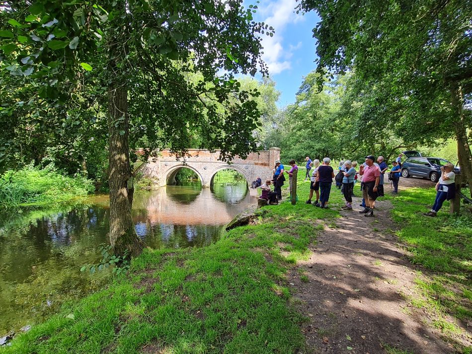 2023-08-08 26 Thorpe Forest.jpg