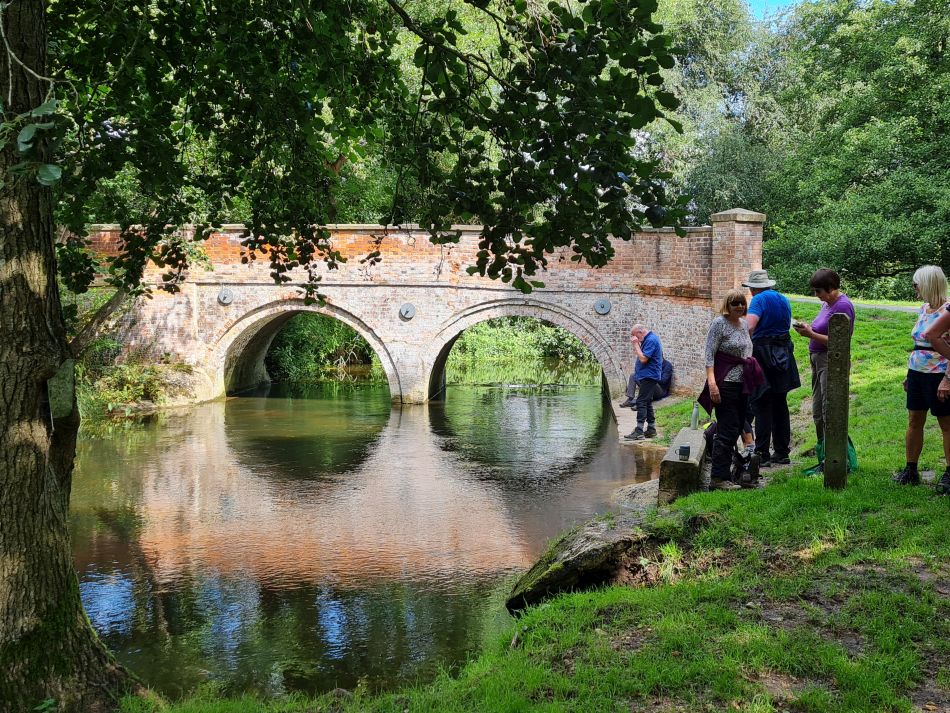 2023-08-08 27 Thorpe Forest.jpg