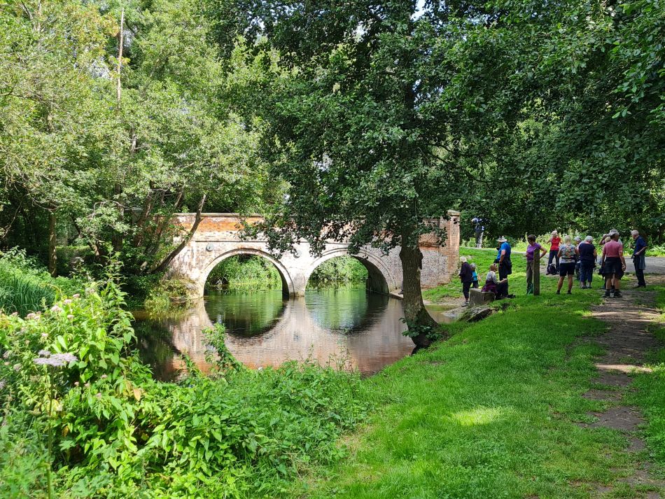 2023-08-08 28 Thorpe Forest.jpg