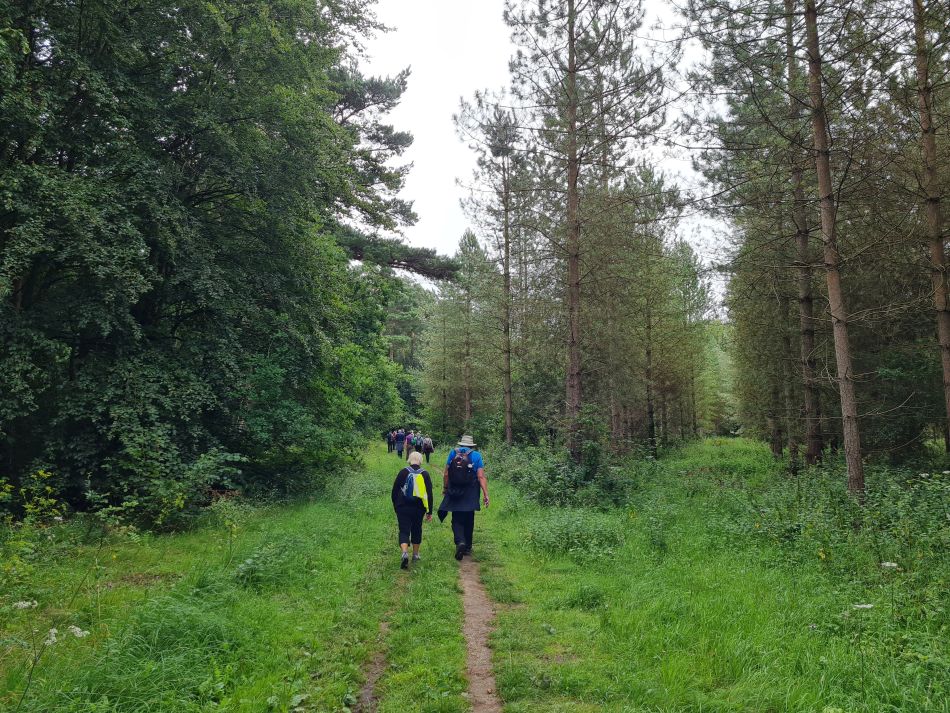 2023-08-08 32 Thorpe Forest.jpg