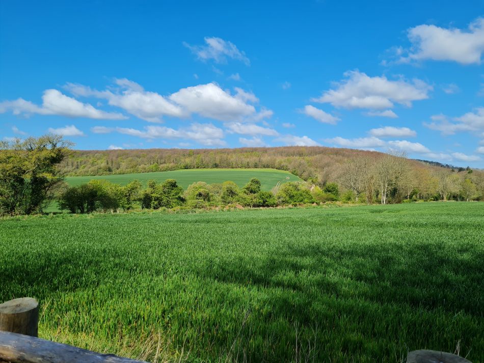 2024-04-20 02 Stoughton Down.jpg