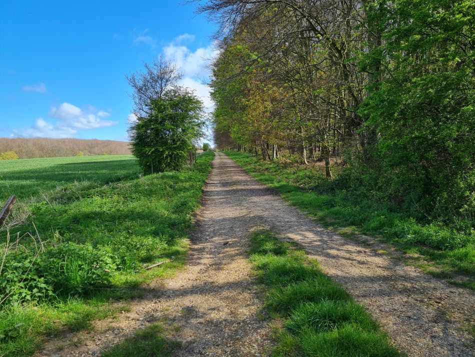 2024-04-20 03 Stoughton Down.jpg