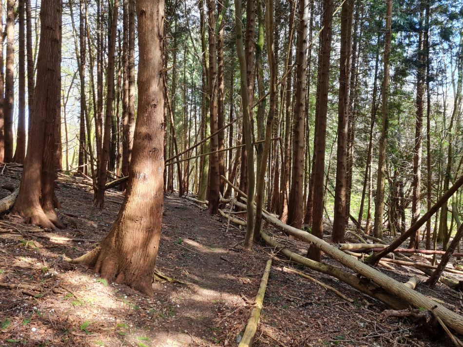 2024-04-20 08 Stoughton Down.jpg