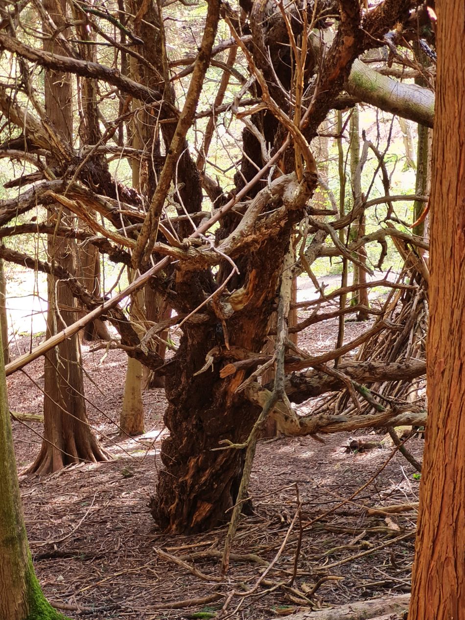 2024-04-20 09 Stoughton Down.jpg