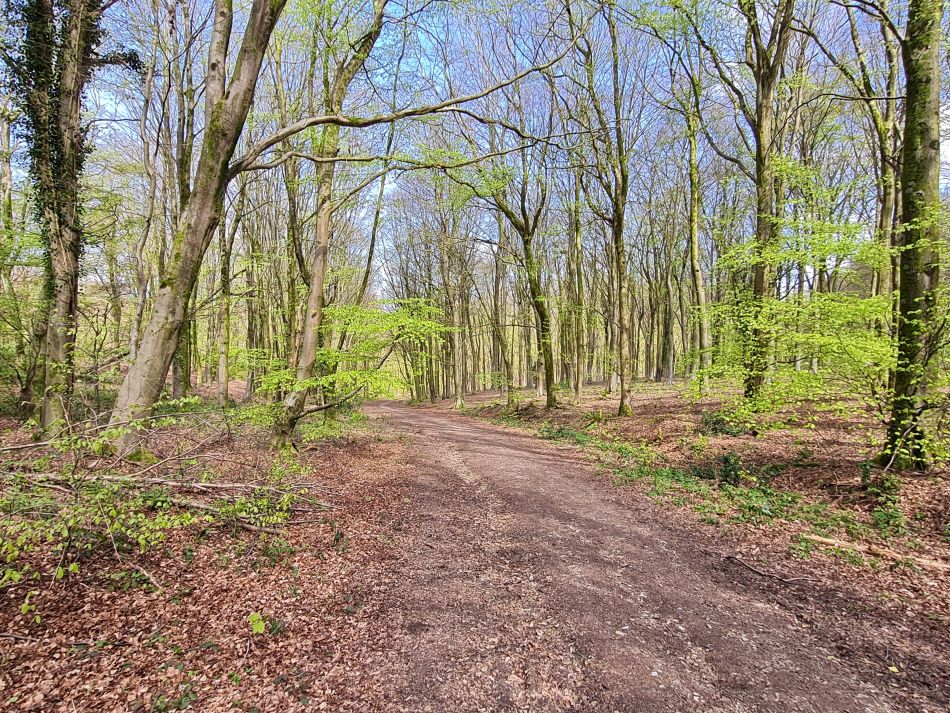 2024-04-20 10 Stoughton Down.jpg