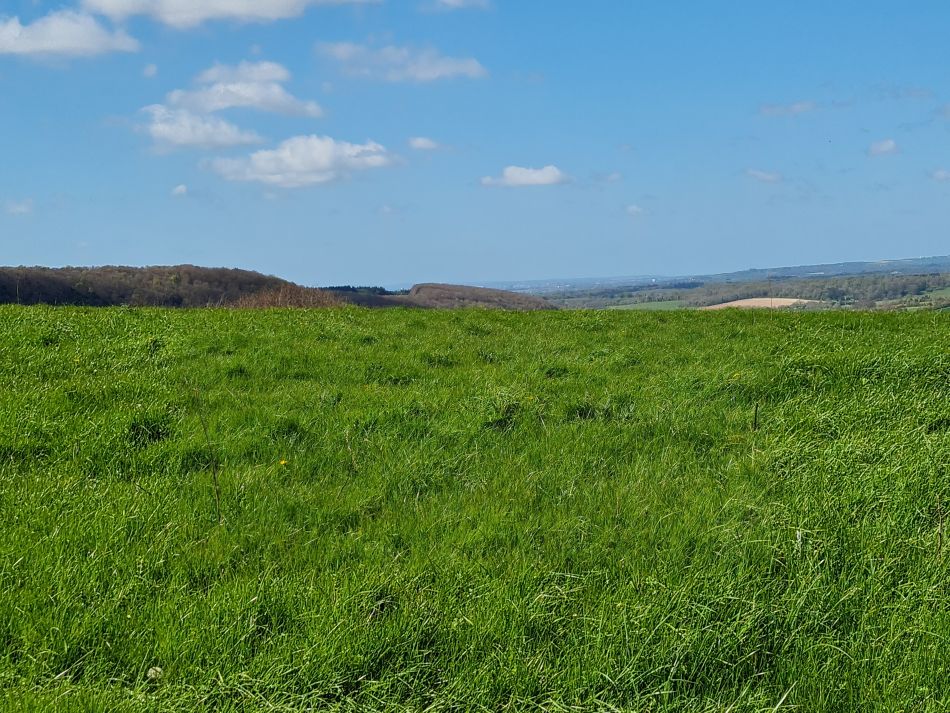 2024-04-20 11 Stoughton Down.jpg